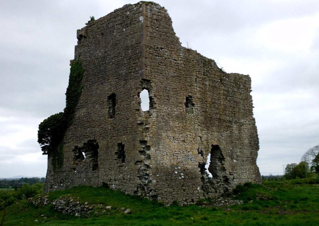Carrickmines Castle Ruins, Ireland